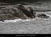20141109_guedeguitard