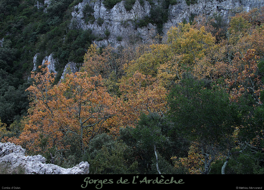 20121202_combedoullens2