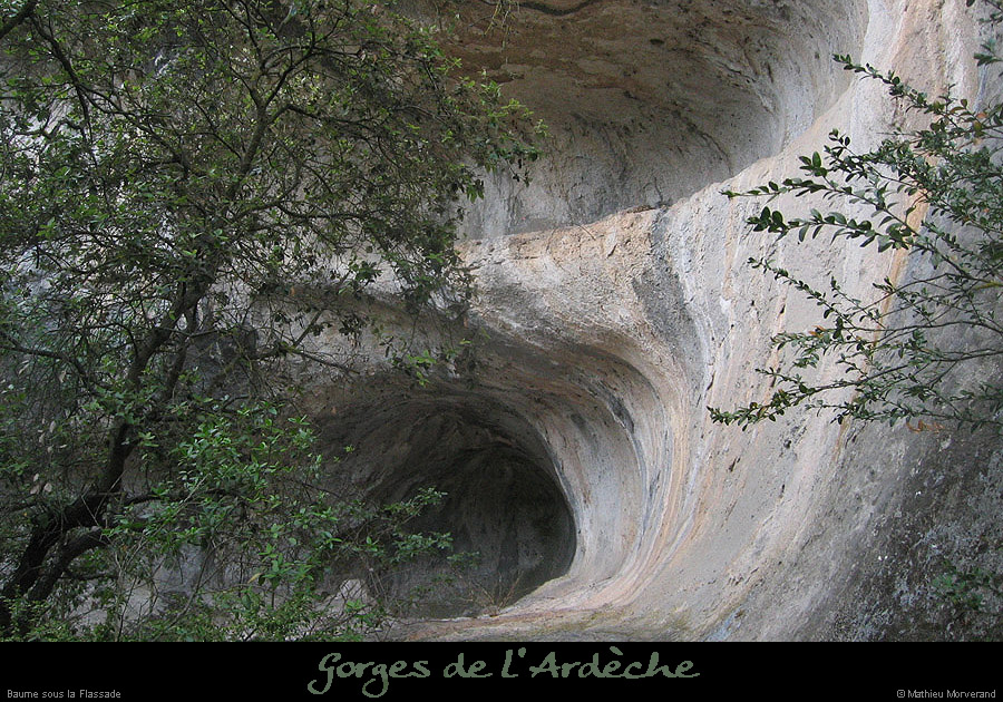 20070806_baume_ssflassade01