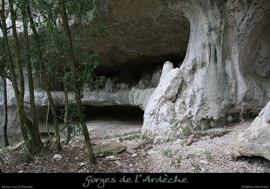 20070806_baume_ssflassade08