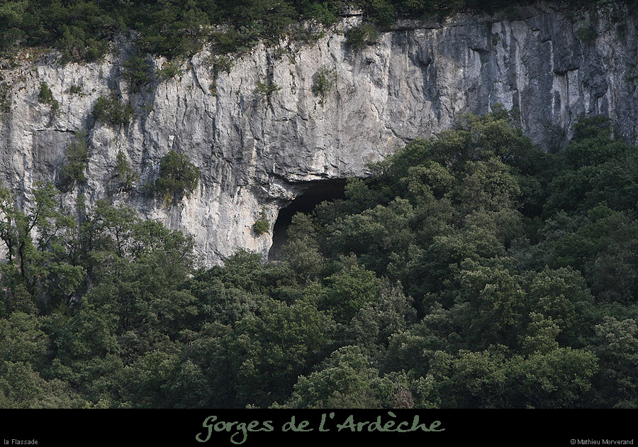 20070806_bois_ssflassade3