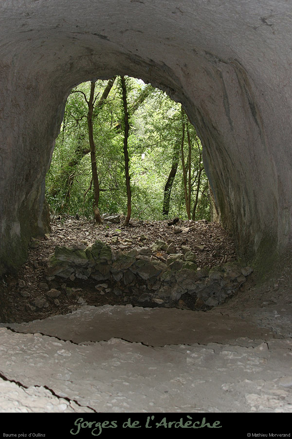 20070809_baumepresoullen