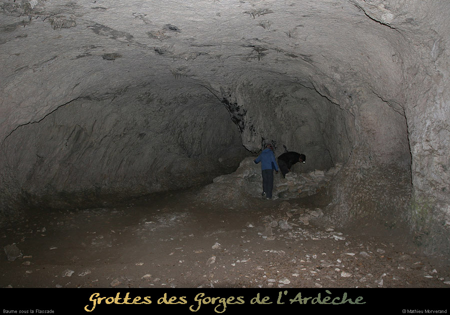 20091217_baumessupgournierrs02