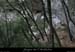 20070217_combe_baume_ss_oullen_01