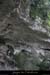 20070430_gournierderdbaume4