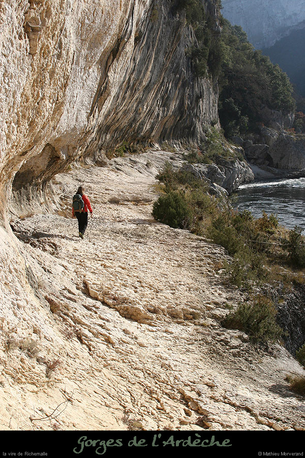 20080101_grdgour03