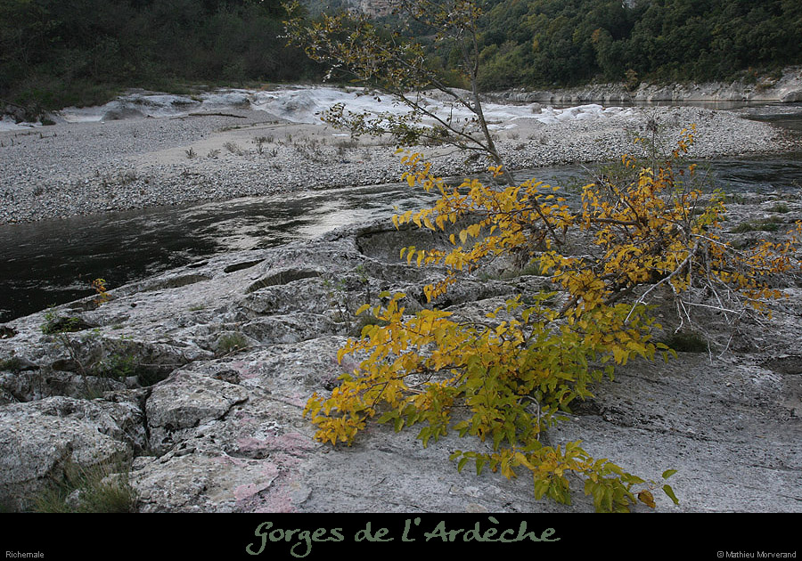 20091030_131