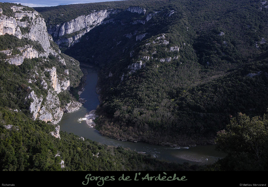 20100327_amrichemale2