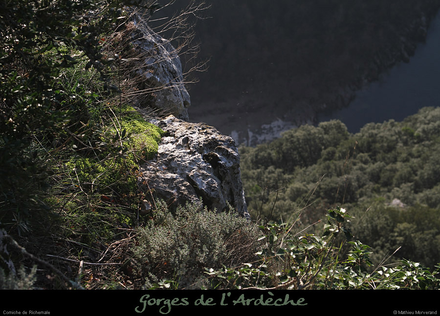 20111204_falaisssuprichemale