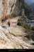 20080101_grdgour03