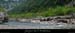 20020824_toupine
