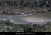 20100327_gpournier_sortietoupine1