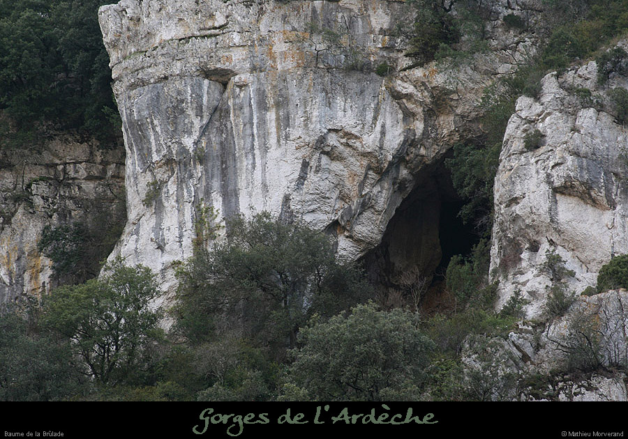 20080101_baumepasdelane01