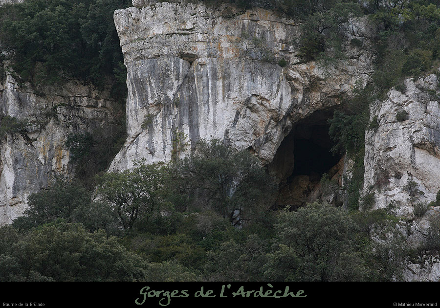 20080101_baumepasdelane04