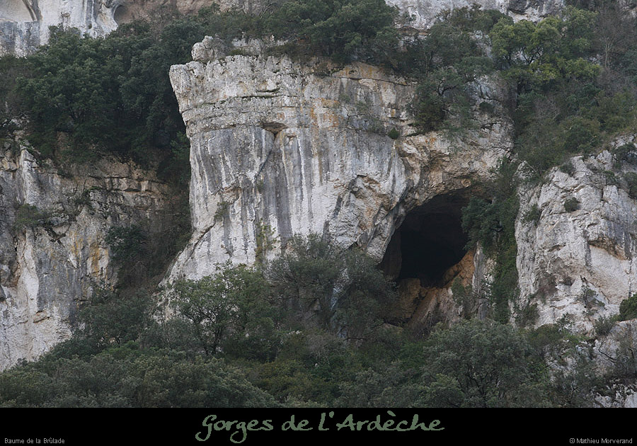20080101_baumepasdelane06