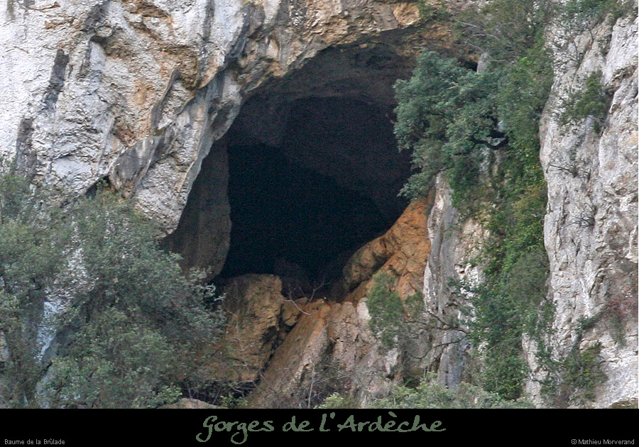 20080101_baumepasdelane_gp