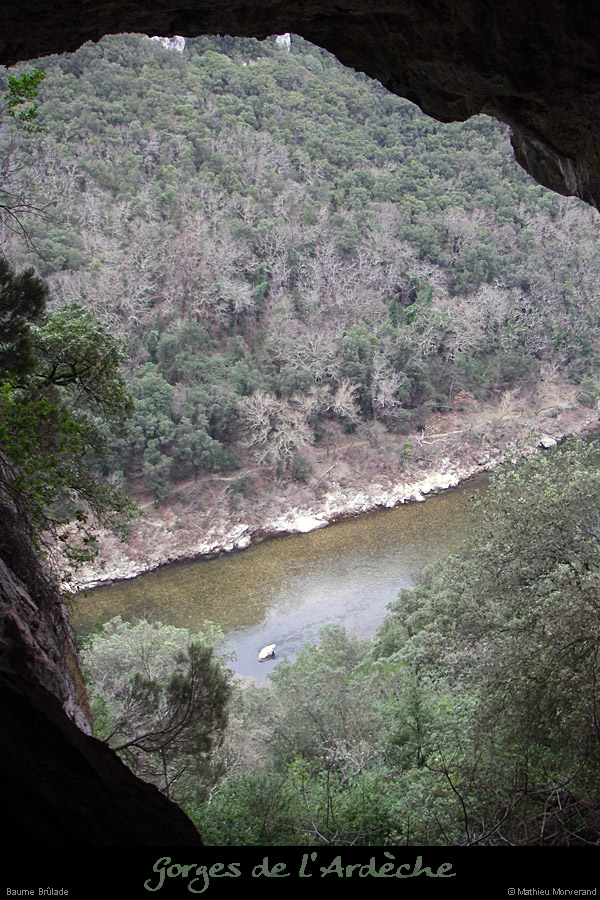 20080220_baumebrulade1