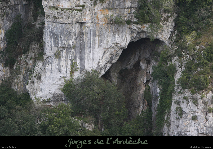 20080324_baumebrulade