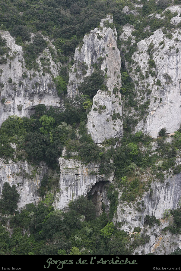 20090411_baumebrulade