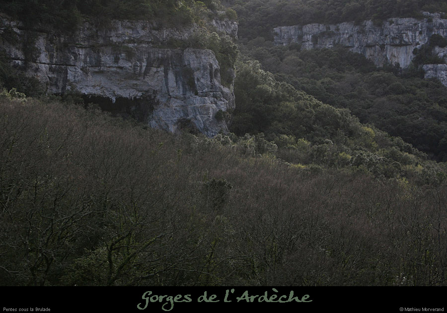 20100328_pentessouslabrulade2