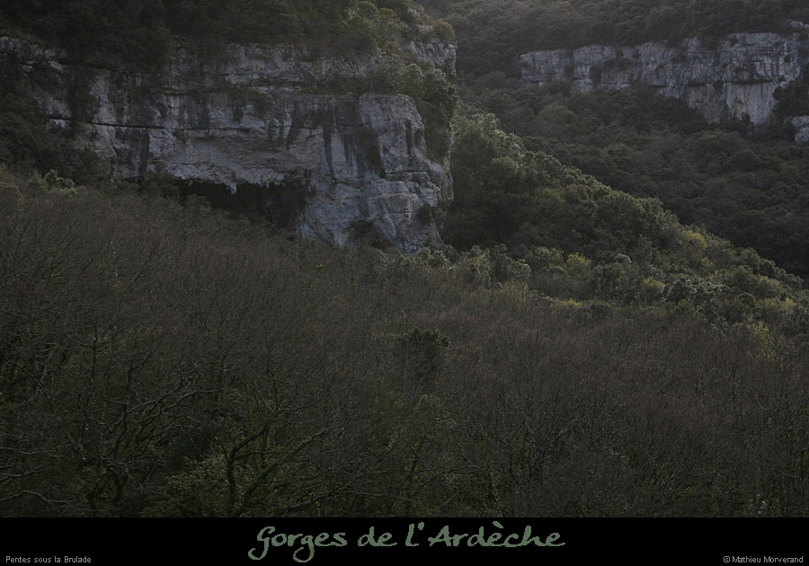 20100328_pentessouslabrulade3