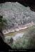 20080220_baumebrulade1