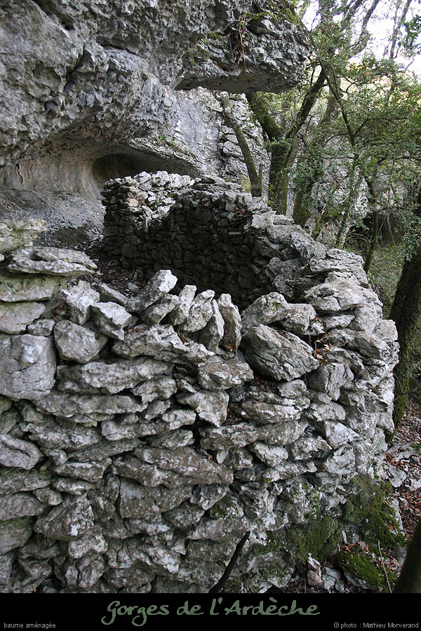 20071013_baumesousflassade1
