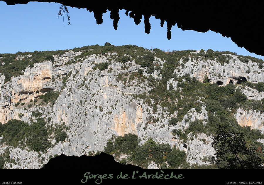 20071021_baumeflassade_ext03