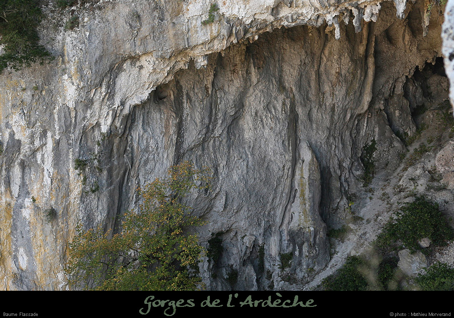 20071021_baumeflassadeparlenw3