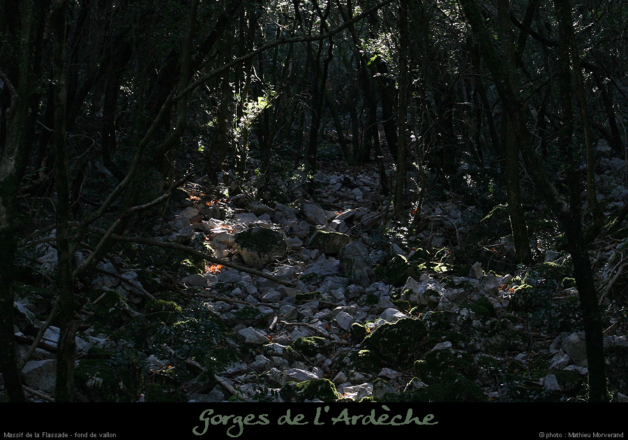 20071021_flassade_fondvallon1