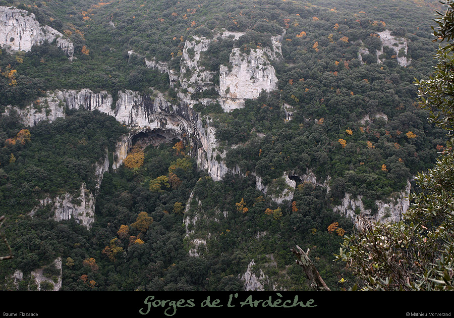 20081109_baumeflassade2