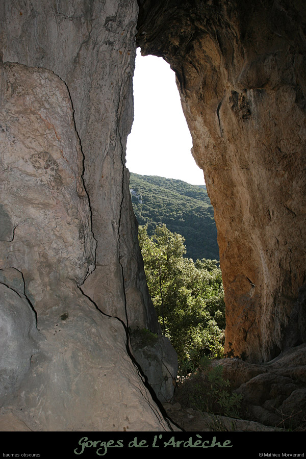 20080820_baumesobscures1