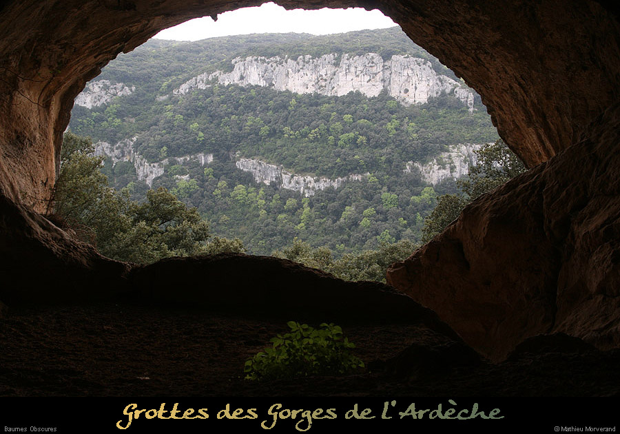 20090411_baumeobscures05