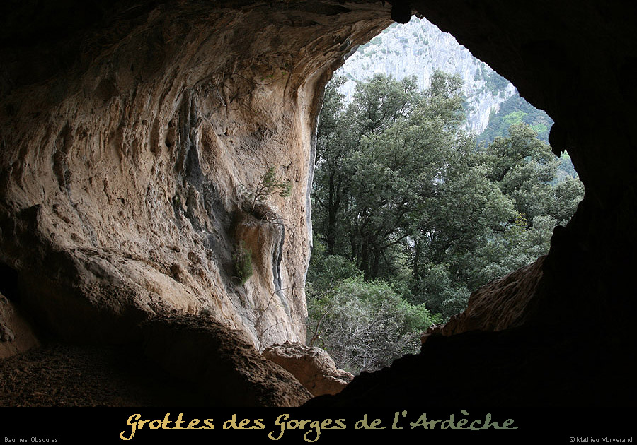 20090411_baumeobscures06
