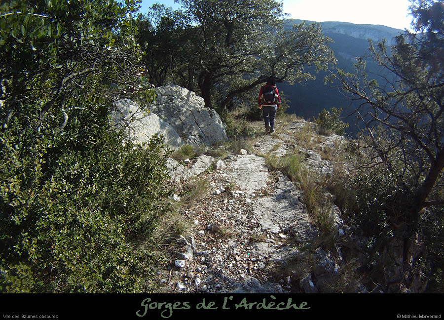 20120215_baumesobscures5