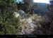 20120215_baumesobscures5