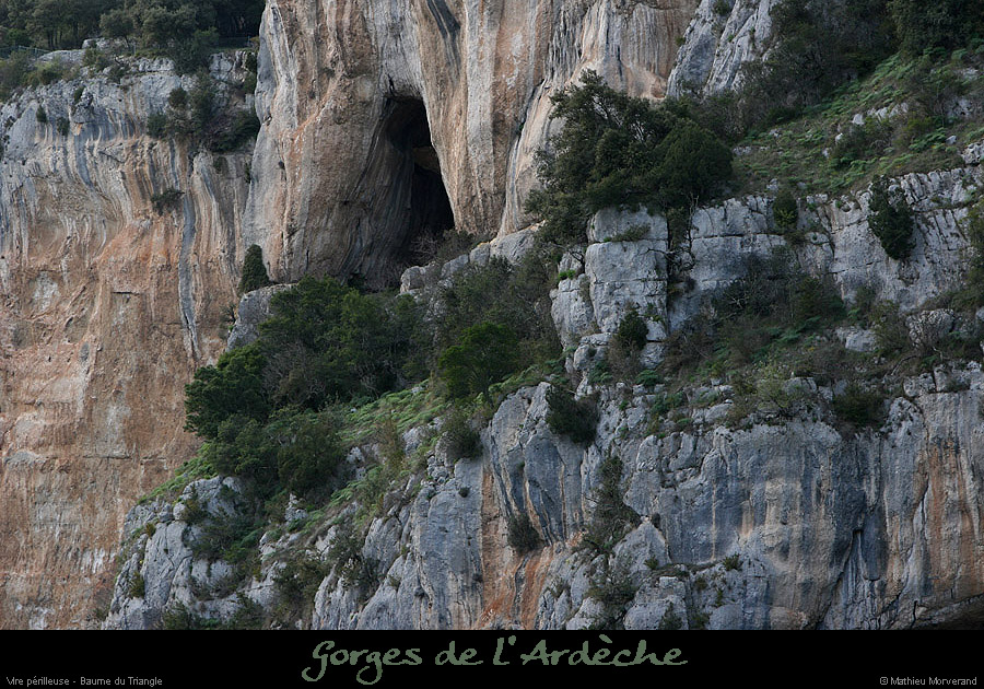 20100328_vireperilleuseparav3