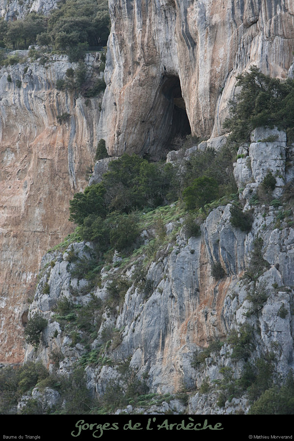 20100328_vireperilleuseparav5