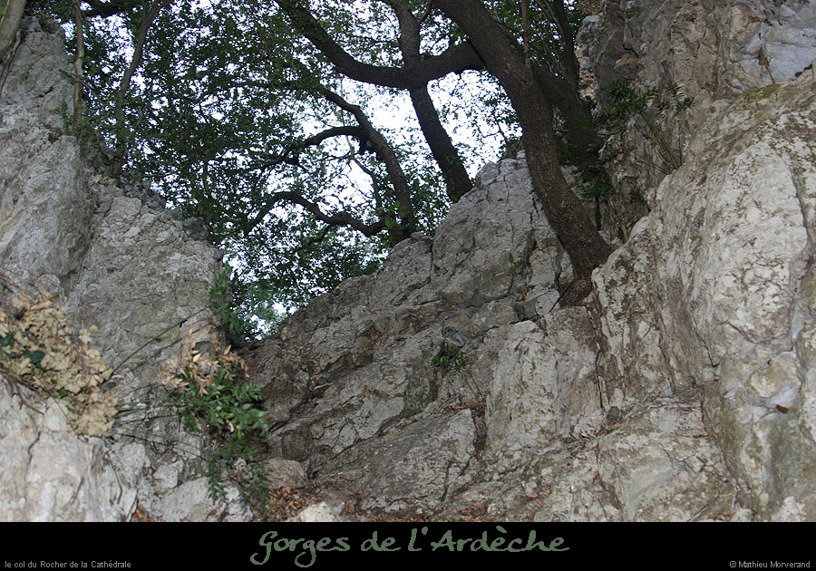 20080101_cathedralecol