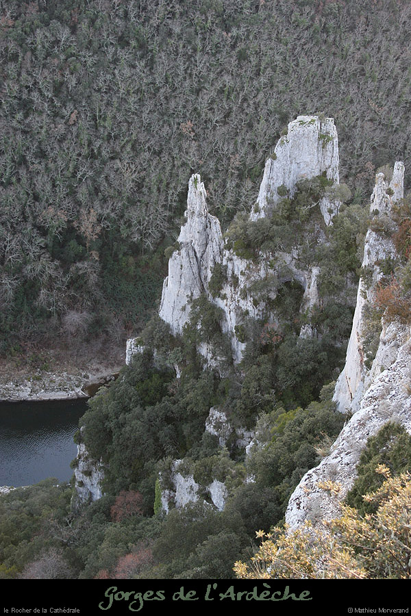 20071230_cathedraleparnord
