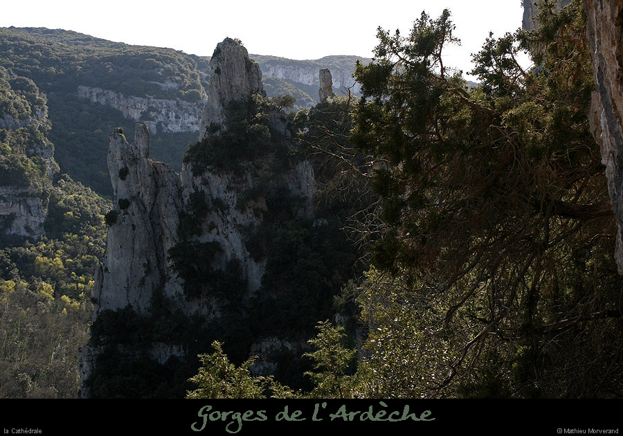 20100405_cathedraledeviressmalbosc07