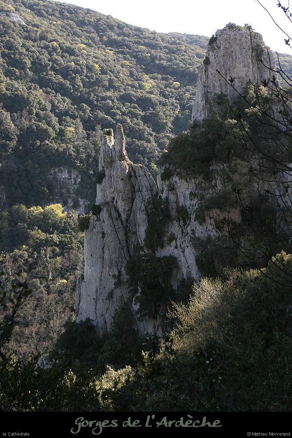 20100405_cathedraledeviressmalbosc09