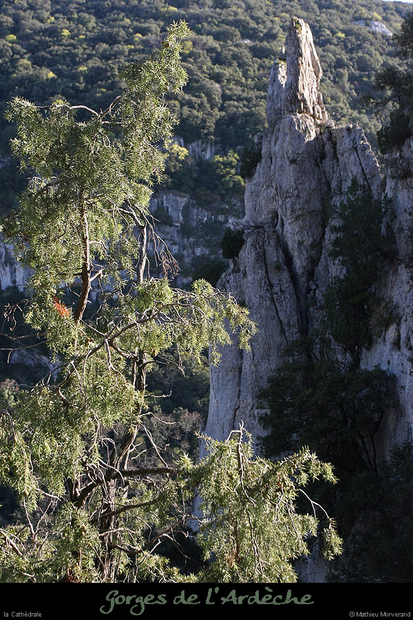 20100405_cathedraledeviressmalbosc10