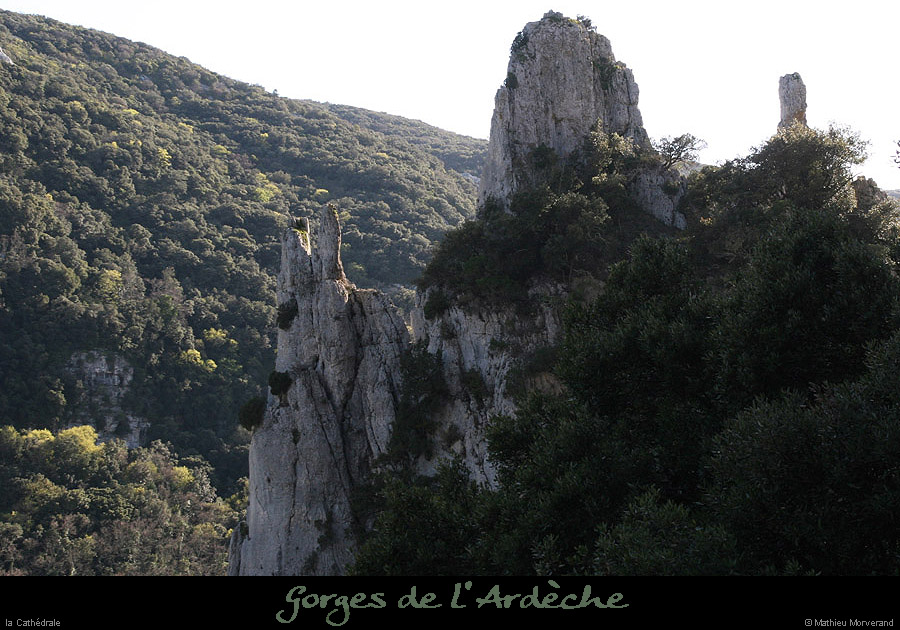 20100405_cathedraledeviressmalbosc11