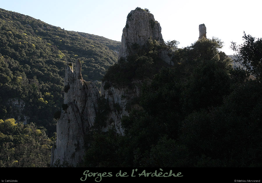 20100405_cathedraledeviressmalbosc12