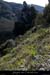 20100405_viresousmalbosc_fleurs12
