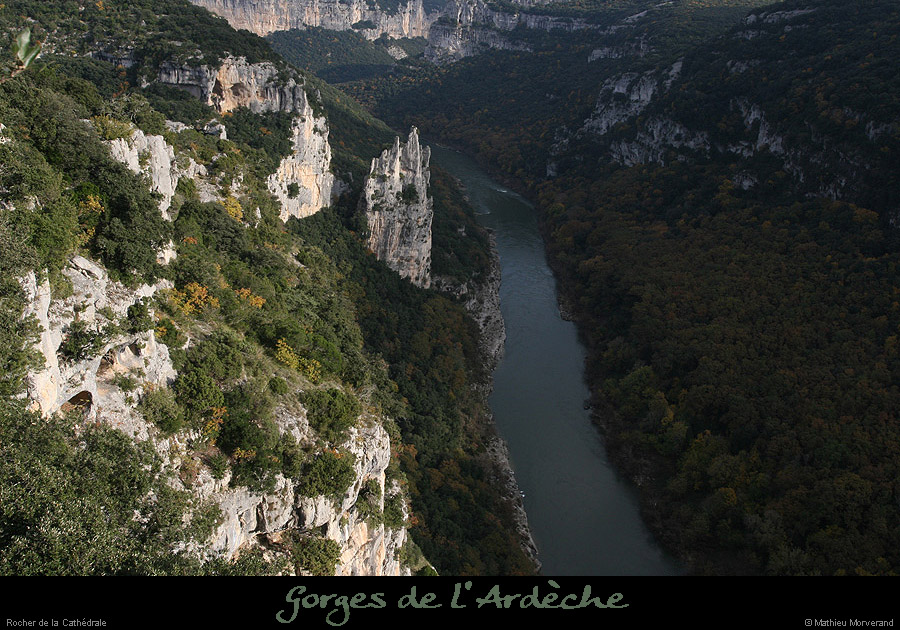 20081109_cathedraleparam2