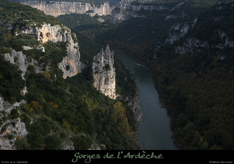 20081109_cathedraleparam4