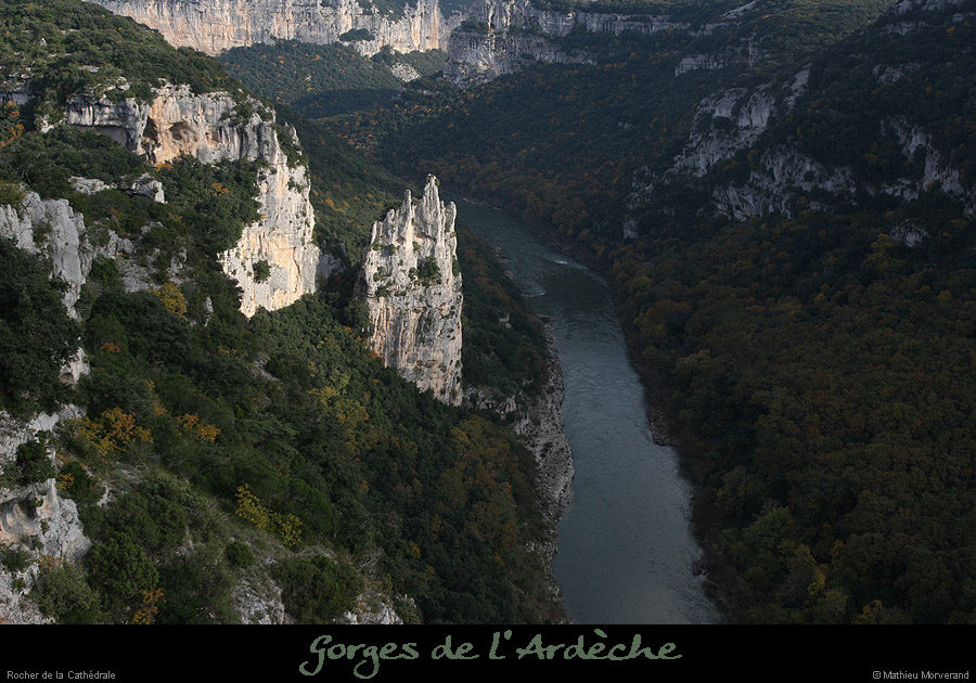 20081109_cathedraleparam8