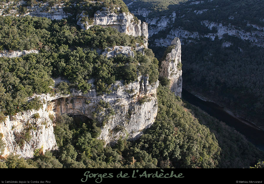 20071230_cathedraledecp1